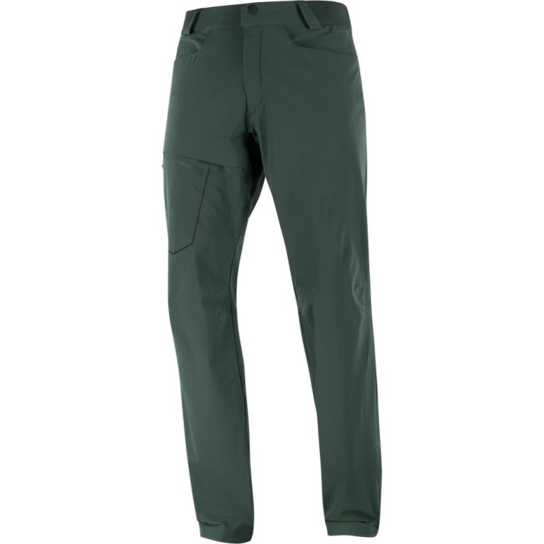 Pantalones Deportivos Salomon Wayfarer Hombre Verdes | MX GCFU970